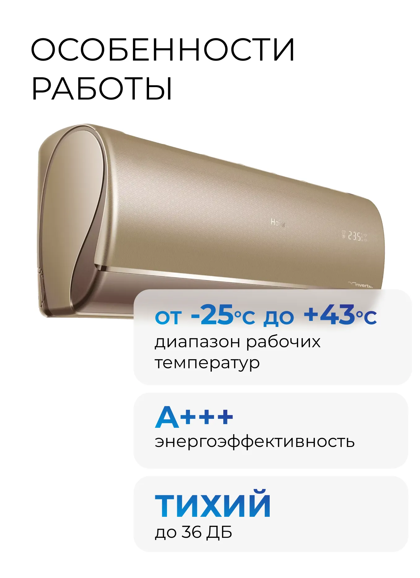 ed8c5491-6d78-450a-80ad-87d50b0ca303.webp